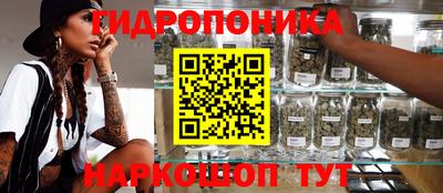 СК Краснознаменск