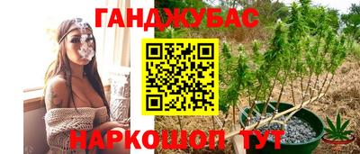 СК Краснознаменск