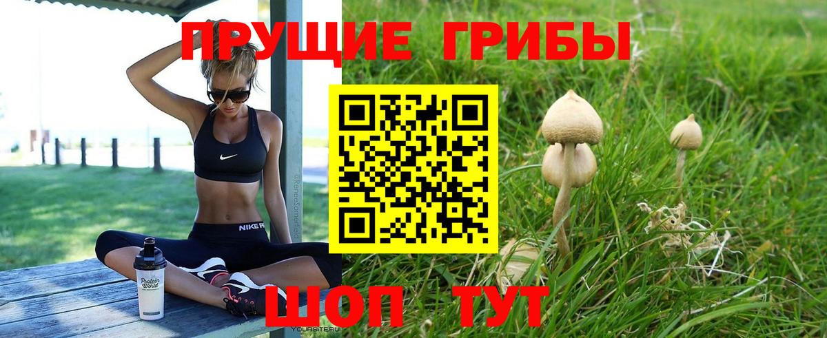 Ишимбай  Псилоцибиновые грибы мицелий  Галлюциногенные грибы ЛСД  Вход с VPN 